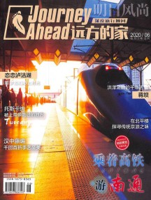 远方的家